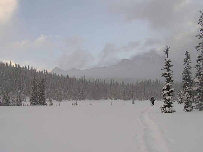 tonquin7